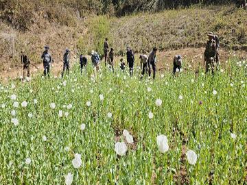 ကျိုင်းတုံမြို့နယ်၌ ဘိန်းခင်းများဖျက်ဆီးမှု မှတ်တမ်းဓာတ်ပုံ။