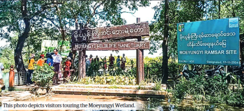 Moeyungyi Wetland Wildlife Sanctuary seeks ASEAN Heritage Park status