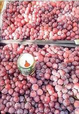 Yamethin’s low-yield grapes gain nationwide popularity