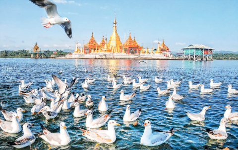 Indawgyi Lake: A biodiverse haven for amphibians, reptiles, and fish