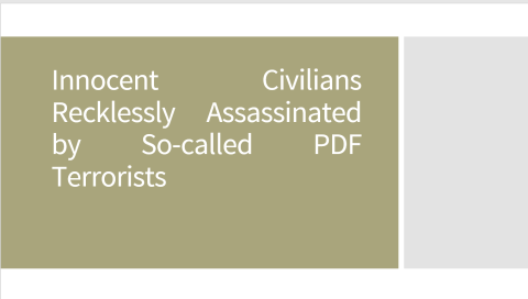 Innocent Civilians Recklessly Assassinated by So-called PDF Terrorists