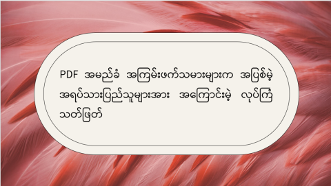 PDF အမည်ခံ အကြမ်းဖက်သမားများက အပြစ်မဲ့ အရပ်သားပြည်သူများအား အကြောင်းမဲ့ လုပ်ကြံသတ်ဖြတ်