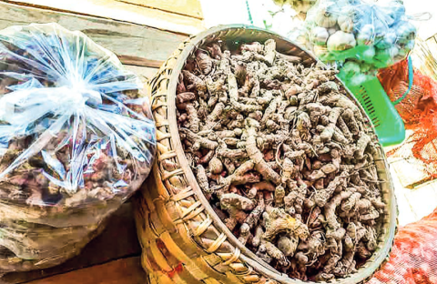 Hinthada farmers profit from turmeric roots