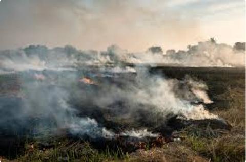 ဖေဖော်ဝါရီလအတွင်း ကျန်းမာရေးကို ထိခိုက်စေသော လေ အရည်အသွေး အဆင့် ၁၃ ရက် ဖြစ်ပေါ်ခဲ့