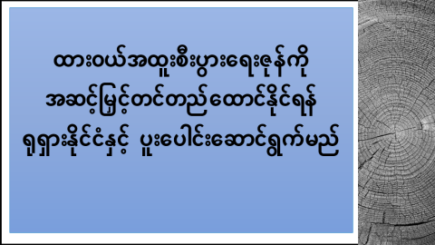 ထားဝယ်အထူးစီးပွားရေးဇုန်ကို အဆင့်မြှင့်တင်တည်ထောင်နိုင်ရန် ရုရှားနိုင်ငံနှင့် ပူးပေါင်းဆောင်ရွက်မည်
