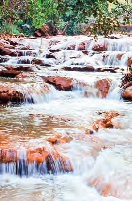 Inlay fall draws summer visitors