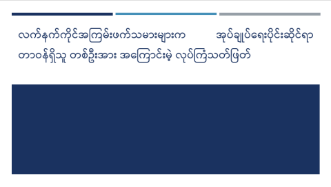 လက်နက်ကိုင်အကြမ်းဖက်သမားများက အုပ်ချုပ်ရေးပိုင်းဆိုင်ရာ တာဝန်ရှိသူ တစ်ဦးအား အကြောင်းမဲ့ လုပ်ကြံသတ်ဖြတ်
