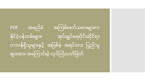 PDF အမည်ခံ အကြမ်းဖက်သမားများက နိုင်ငံ့ဝန်ထမ်းများ၊ အုပ်ချုပ်ရေးပိုင်းဆိုင်ရာ တာဝန်ရှိသူများနှင့် အပြစ်မဲ့ အရပ်သားပြည်သူများအား အကြောင်းမဲ့ လုပ်ကြံသတ်ဖြတ်