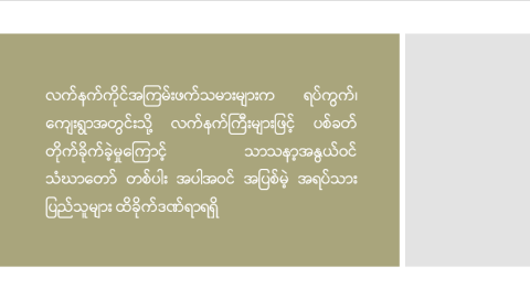 လက်နက်ကိုင်အကြမ်းဖက်သမားများက ရပ်ကွက်၊ ကျေးရွာအတွင်းသို့ လက်နက်ကြီးများဖြင့် ပစ်ခတ်တိုက်ခိုက်ခဲ့မှုကြောင့် သာသနာ့အနွယ်ဝင် သံဃာတော် တစ်ပါး အပါအဝင် အပြစ်မဲ့ အရပ်သားပြည်သူများ ထိခိုက်ဒဏ်ရာရရှိ