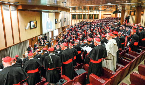 Conclave starts 7 May, with cardinals saying new pope must tackle abuse