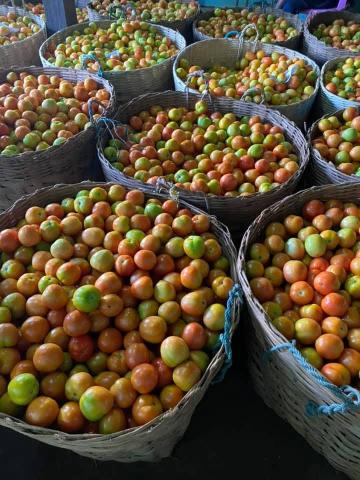 Online vegetable trade halts; Offline trade continues in Aungban