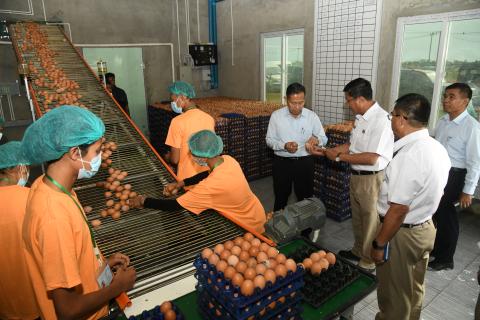Agri-farms to sell fresh produce, meat, eggs at affordable prices