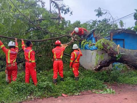 ရန်ကုန်တိုင်းရှိ မြို့နယ်(၃)ခုတွင် သစ်ပင်လဲကျမှုများဖြစ် ထိခိုက်ဒဏ်ရာရသူမရှိခဲ့