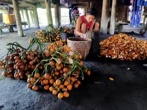 Soft areca nut sales surge on China demand