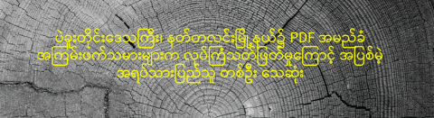 ပဲခူးတိုင်းဒေသကြီး၊ နတ်တလင်းမြို့နယ်၌ PDF အမည်ခံ အကြမ်းဖက်သမားများက လုပ်ကြံသတ်ဖြတ်မှုကြောင့် အပြစ်မဲ့ အရပ်သားပြည်သူ တစ်ဦး သေဆုံး