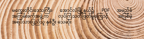 မကွေးတိုင်းဒေသကြီး၊ အောင်လံမြို့နယ်၌ PDF အမည်ခံ အကြမ်းဖက်အဖွဲ့က လုပ်ကြံသတ်ဖြတ်မှုကြောင့် အပြစ်မဲ့ အရပ်သားပြည်သူ နှစ်ဦး သေဆုံး