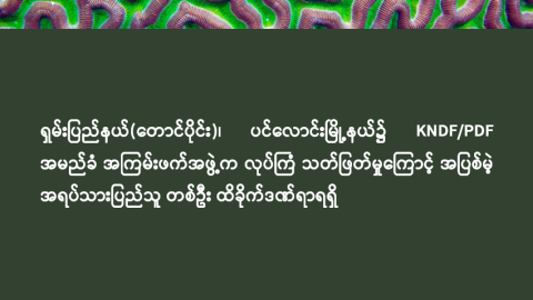 ရှမ်းပြည်နယ်(တောင်ပိုင်း)၊ ပင်လောင်းမြို့နယ်၌ KNDF/PDF အမည်ခံ အကြမ်းဖက်အဖွဲ့က လုပ်ကြံ သတ်ဖြတ်မှုကြောင့် အပြစ်မဲ့ အရပ်သားပြည်သူ တစ်ဦး ထိခိုက်ဒဏ်ရာရရှိ