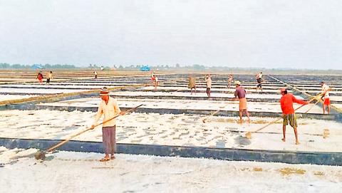 ငပုတောမြို့နယ်မှ ရန်ကုန်ဈေးကွက်သို့ မေလအတွင်း နေလှန်းဆား အများအပြား တင်ပို့ရောင်းချနိုင်ခဲ့
