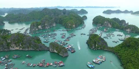 AI monitors coastal water quality in Viet Nam