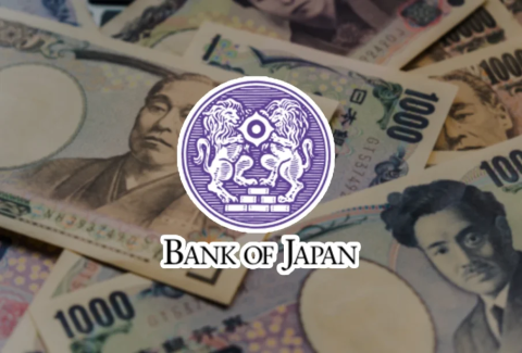 BOJ keeps rate target unchanged at around 0.5%