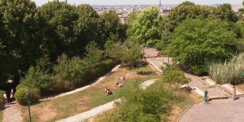 Parisians bask in parks as heatwave peaks across France