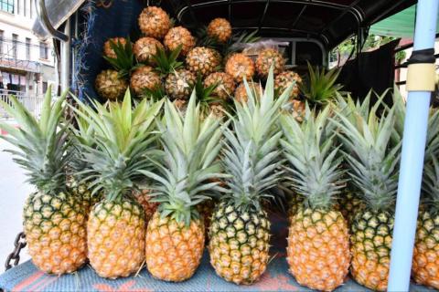 Pineapple sales rise