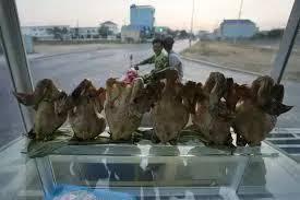 ကမ္ဘောဒီးယားသားအမိနှစ်ဦး H5N1 ကြက်ငှက်တုပ်ကွေးရောဂါကူးစက်ခံရ