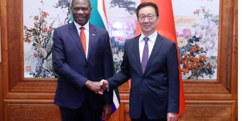 Chinese Vice President meets South Africa's Deputy President