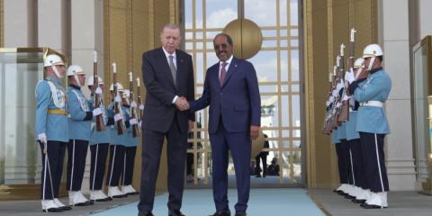 Turkish, Somali presidents discuss bilateral relations, regional issues