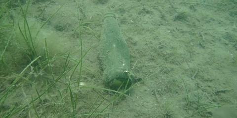 The Black Sea faces tons of pollution every year, threatening marine life
