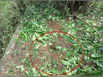 Pro-Terrorism KNU Members and So-Called PDF Terrorists Conduct Drone Bomb Attack in Kyaikmaraw Township of Mon State.