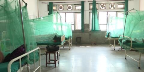 The risk of dengue is increasing rapidly, with cases peaking in June