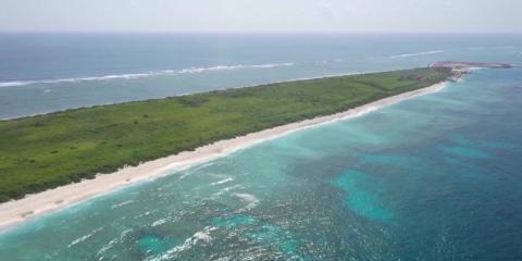Nearly 100 sea turtle nests found in Sansha waters