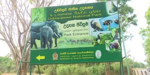 Sri Lanka returns orphaned elephants to the jungle