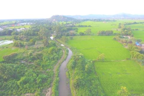 ကျောက်ဆည်မြို့နယ်တွင် နွေစပါး၊ နွေနှမ်း၊ မိုးကြိုပဲတီစိမ်း၊ ငရုပ်သီးနှံ (၅၂၅၅၂) ဧက လျာထား စိုက်ပျိုးလျက်ရှိရာ တိုက်နယ် (၆) နယ်တွင် (၄၃၈၈) ဧကစိုက်ပျိုးပြီးဖြစ်