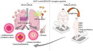 GLP-1 group drug users may be at increased risk of GEAD