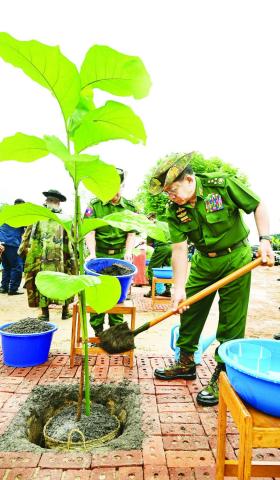 ကာကွယ်ရေးဦးစီးချုပ်ရုံး (ကြည်း၊ ရေ၊ လေ) မိသားစုများ၏ ၂ဝ၂၅ ခုနှစ် ဒုတိယအကြိမ် မိုးရာသီ သစ်ပင်စိုက်ပျိုးပွဲကျင်းပပြုလုပ်