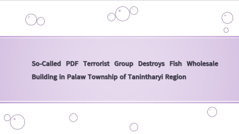 So-Called PDF Terrorist Group Destroys Fish Wholesale Building in Palaw Township of Tanintharyi Region