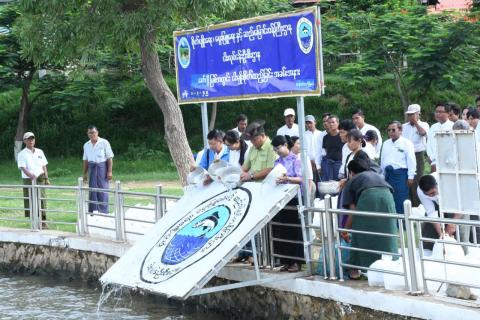 ကျောက်ဆည်ခရိုင် ငါးလုပ်ငန်းဦးစီးဌာနမှ ဇော်ဂျီမြစ်အတွင်း ငါးမျိုးစိုက်ထည့်ခြင်း အခမ်းအနားကျင်းပ