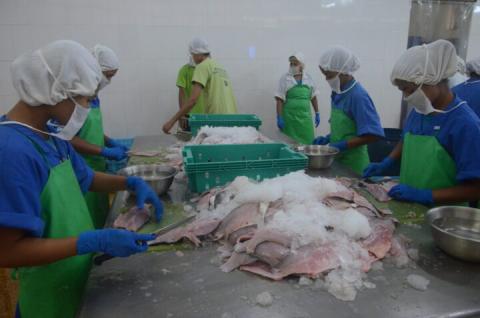 Female workers processing seafood at a cold storage facility.