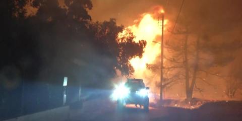 Wildfires ravage Greece amid strong winds
