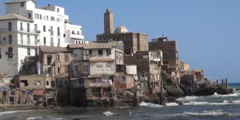 Intrusive Pacific algae overwhelm Algeria beaches, triggering cleanups