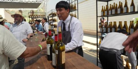 Wine festival celebrates harvest season in Baja California, Mexico