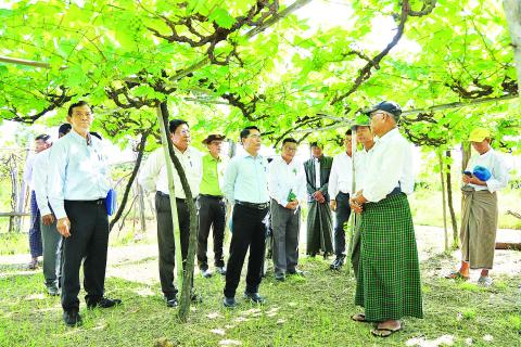 Agriculture and Irrigation: Visiting vineyards and dam in Yamethin Township