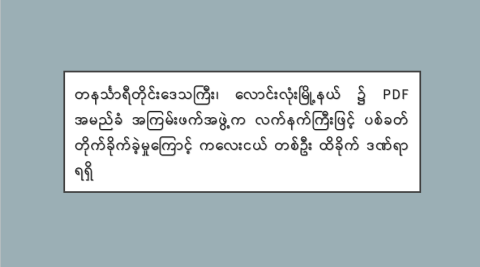 တနင်္သာရီတိုင်းဒေသကြီး၊ လောင်းလုံးမြို့နယ်၌ PDF အမည်ခံ အကြမ်းဖက်အဖွဲ့က လက်နက်ကြီးဖြင့် ပစ်ခတ်တိုက်ခိုက်ခဲ့မှုကြောင့် ကလေးငယ် တစ်ဦး ထိခိုက်ဒဏ်ရာရရှိ