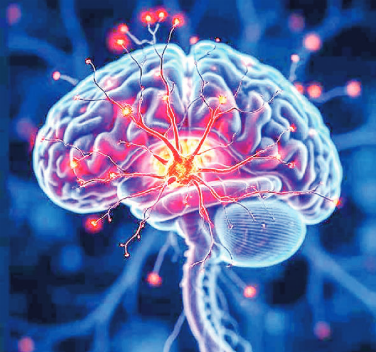 Researchers discover the brain cells that regulate eating