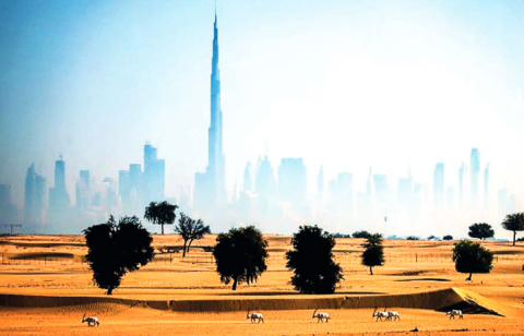 Stuck in eternal drought, UAE turns to AI to make it rain