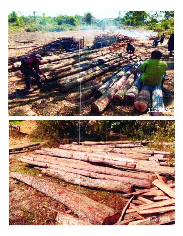 တရားမဝင် သစ်မျိုးစုံ၊ လုပ်ငန်းသုံးပစ္စည်းများ၊ လူသုံးကုန်ပစ္စည်းများ၊ စားသောက်ကုန်ပစ္စည်းများ၊ လိုင်စင်မဲ့မော်တော်ယာဉ်များနှင့် တရားမဝင် ကုန်ပစ္စည်းတင်မော်တော်ယာဉ်များ ဖမ်းဆီးရမိ