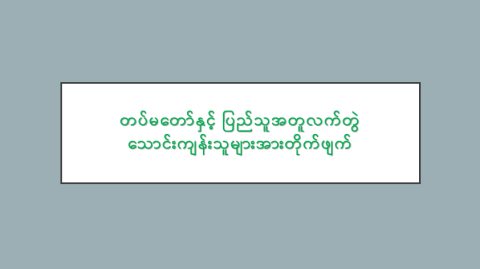 တပ်မတော်နှင့် ပြည်သူအတူလက်တွဲ သောင်းကျန်းသူများအားတိုက်ဖျက်