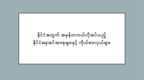 နိုင်ငံအတွက် အမှန်တကယ်လိုအပ်သည့် နိုင်ငံရေးအင်အားစုများနှင့် ကိုယ်စားလှယ်များ
